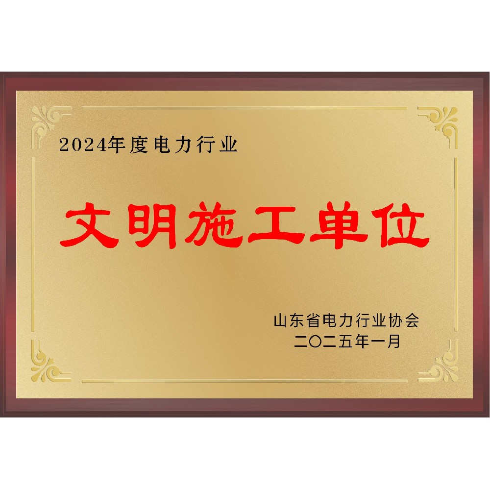 2024年度电力行业文明施工单位